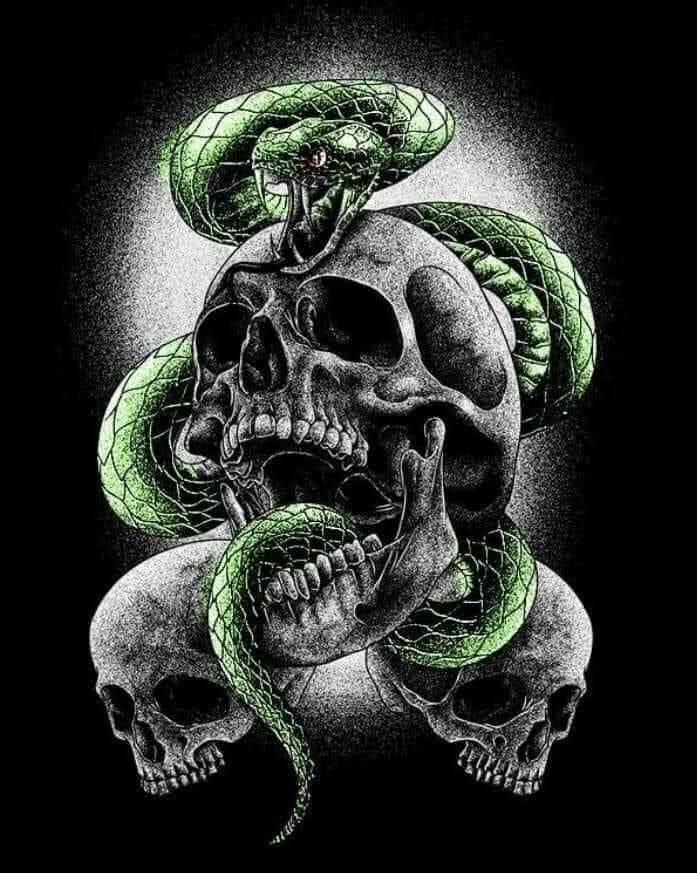 THE SNAKE SKULL